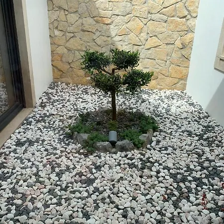 Villa Casa Letizia Miragaia