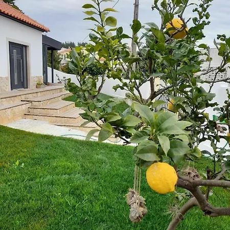 Casa Letizia Villa *